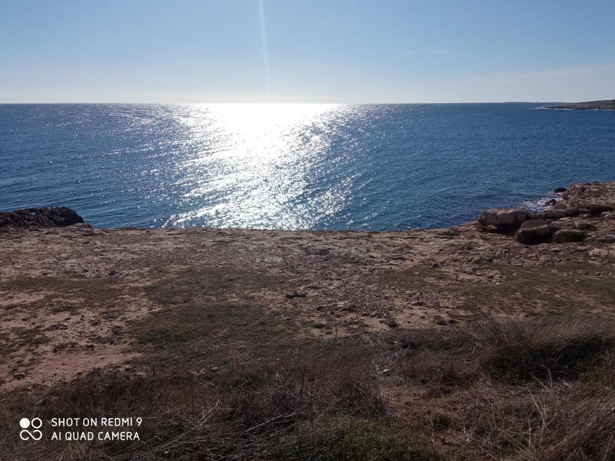 Vila Mala Kuca Sa Velikim Grijanim Bazenom Antonio Šišan Exteriér fotografie
